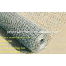 Hot Selling Hot-Dipped /Galvanized Hexagonal Wire Mesh (W-LJW)